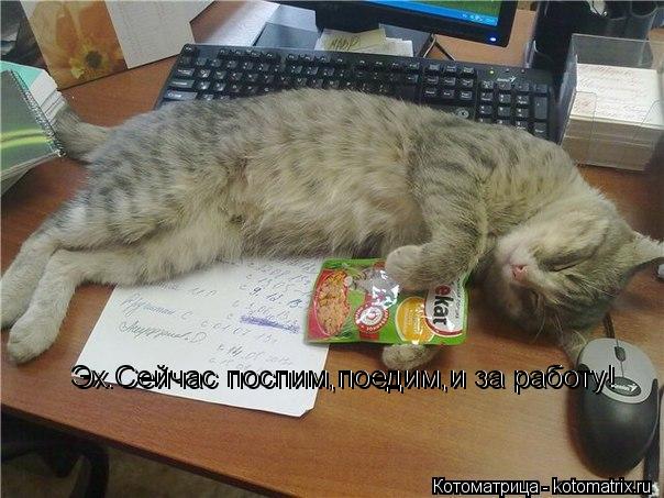 Эх.Сейчас поспим,поедим,и за работу! Эх.Сейчас поспим,поедим,и за работу!... Котоматрица: Эх.Сейчас поспим,поедим,и за работу! Эх.Сейчас поспим,поедим,и за работу!