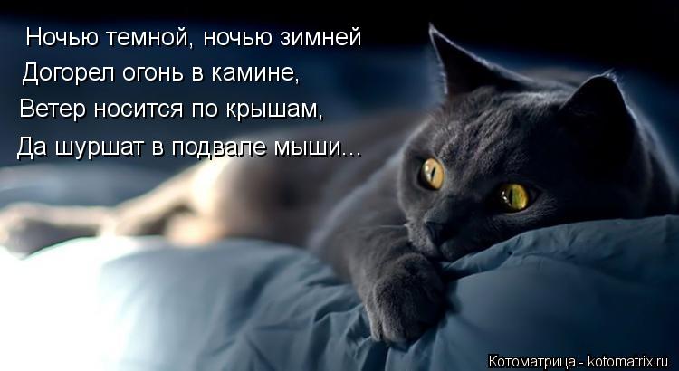 Котоматрица: Ночью темной, ночью зимней Догорел огонь в камине, Ветер носится по крышам, Да шуршат в подвале мыши...