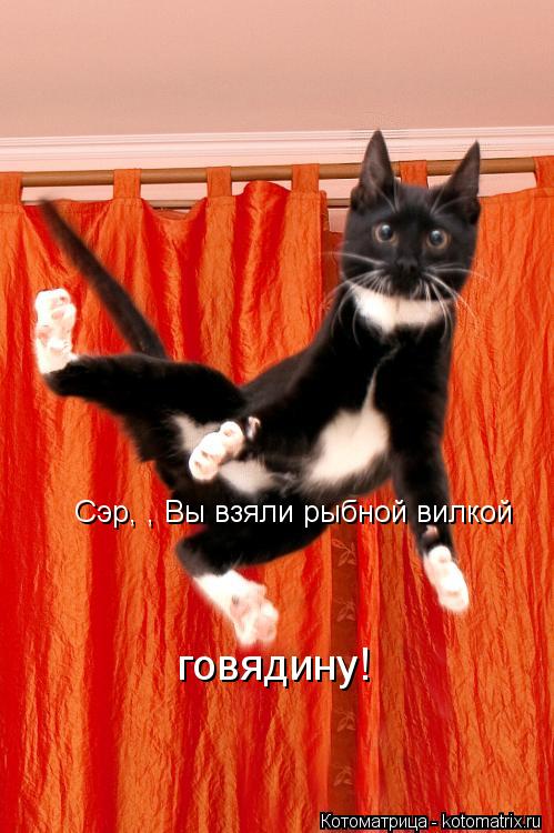 Котоматрица: Сэр, , Вы взяли рыбной вилкой говядину!