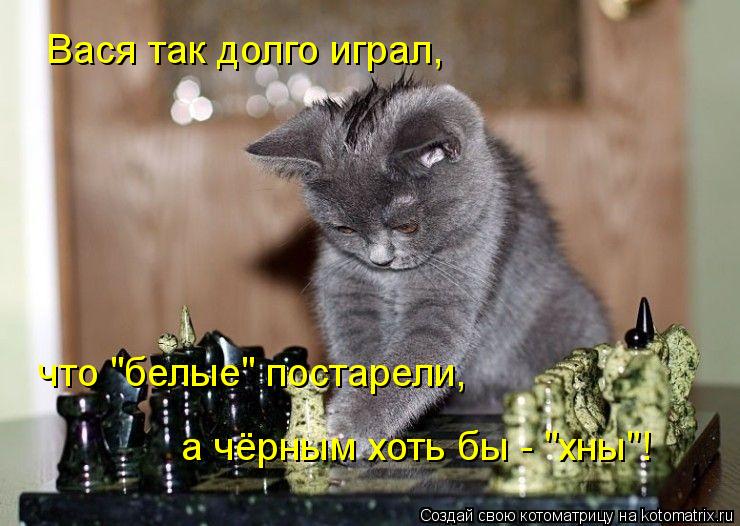 Котоматрица: Вася так долго играл, что "белые" постарели, а чёрным хоть бы - "хны"!