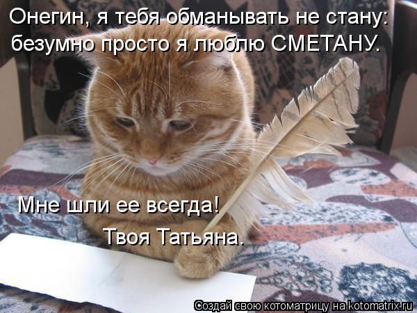 Котоматрица: Онегин, я тебя обманывать не стану: безумно просто я люблю СМЕТАНУ. Мне шли ее всегда! Твоя Татьяна.