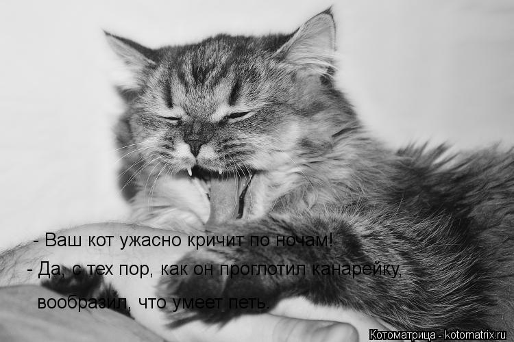 - Ваш кот ужасно кричит по ночам! - Да, с тех пор, как он проглотил канарейку, вообразил, что умеет... Котоматрица: - Ваш кот ужасно кричит по ночам! - Да, с тех пор, как он проглотил канарейку, вообразил, что умеет петь.