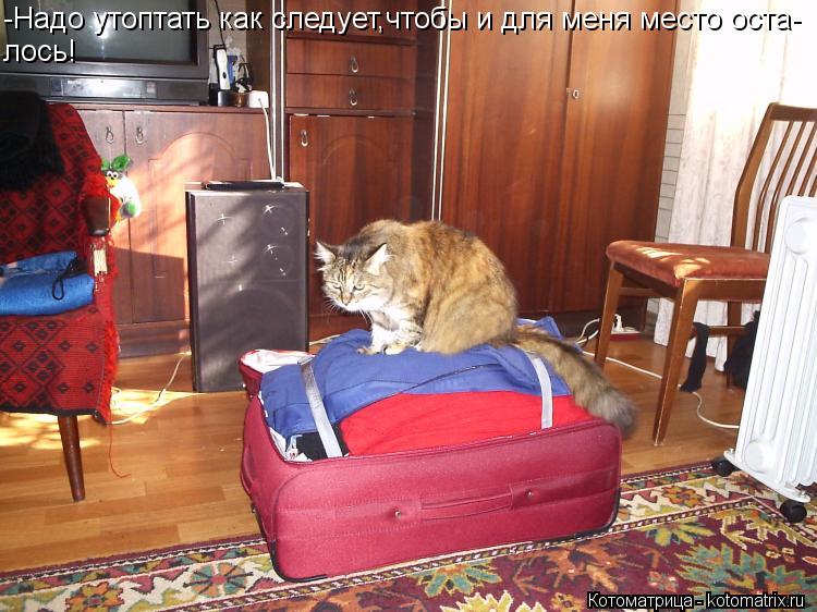 Котоматрица: -Надо утоптать как следует,чтобы и для меня место оста- лось!