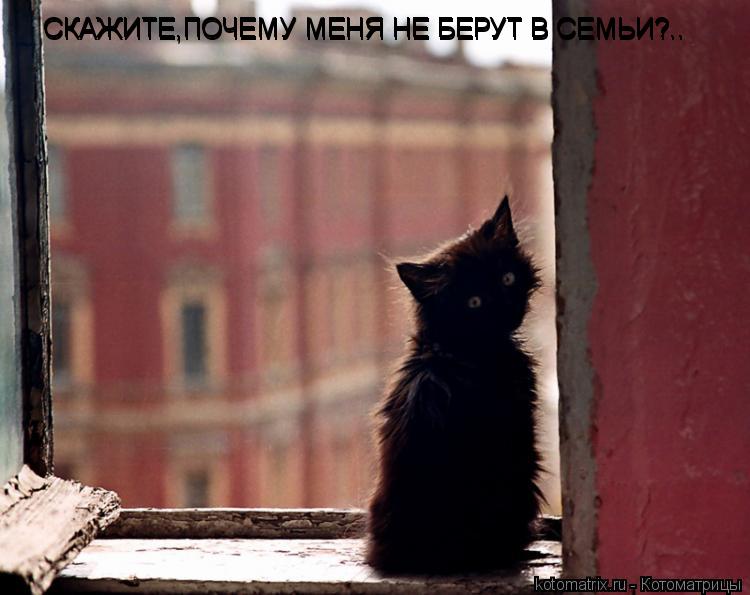 СКАЖИТЕ,ПОЧЕМУ МЕНЯ НЕ БЕРУТ В СЕМЬИ?.. СКАЖИТЕ,ПОЧЕМУ МЕНЯ НЕ БЕРУТ В СЕМЬИ?.. СКАЖИТЕ,ПОЧЕМУ МЕНЯ Н... Котоматрица: СКАЖИТЕ,ПОЧЕМУ МЕНЯ НЕ БЕРУТ В СЕМЬИ?.. СКАЖИТЕ,ПОЧЕМУ МЕНЯ НЕ БЕРУТ В СЕМЬИ?.. СКАЖИТЕ,ПОЧЕМУ МЕНЯ НЕ БЕРУТ В СЕМЬИ?..
