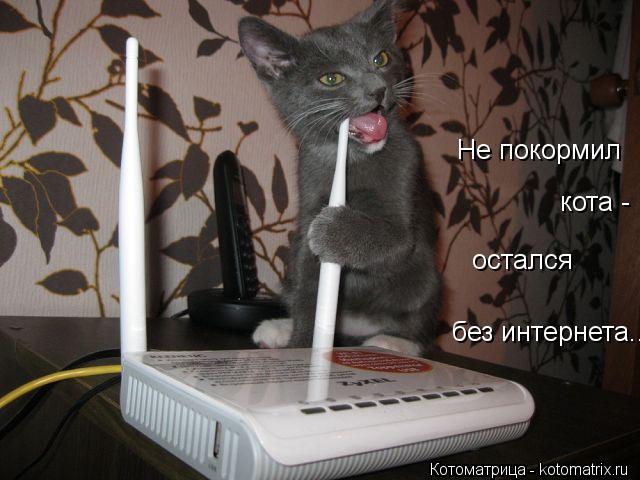 Котоматрица: Не покормил кота -  остался без интернета....