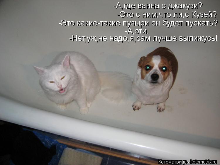 Котоматрица: -А,где ванна с джакузи? -Это с ним,что ли,с Кузей? -Это какие-такие пузыри он будет пускать? -А,эти. -Нет,уж,не надо,я,сам лучше вылижусь!
