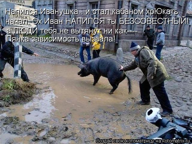 Котоматрица: Напился Иванушка.. и стал кабаном хрЮкать  начал, Эх Иван НАПИЛСЯ ты БЕЗСОВЕСТНЫЙ! а ЛЮДИ тебя не вытянут ни как---- Пянка зависимость вызвала!