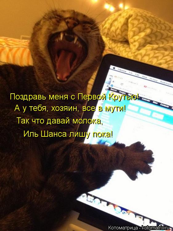 Котоматрица: Поздравь меня с Первой Крутью! А у тебя, хозяин, все в мути! Так что давай молока, Иль Шанса лишу пока!