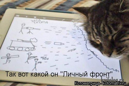 Котоматрица: Так вот какой он "Личный фронт"