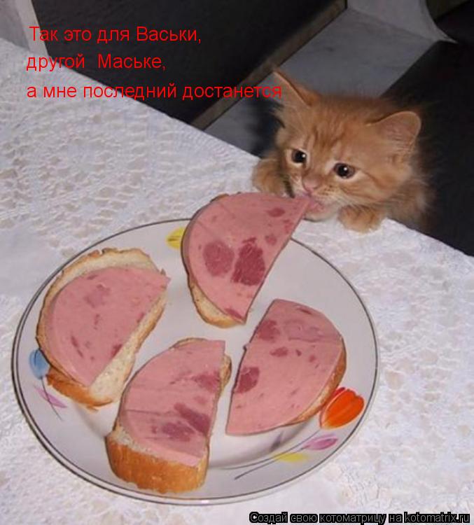 Котоматрица: Так это для Васьки, другой  Маське, а мне последний достанется