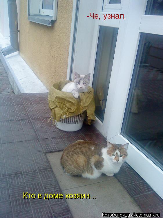 Котоматрица: -Че, узнал, Кто в доме хозяин...