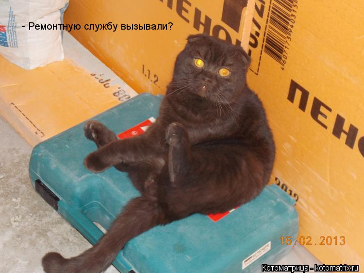 Котоматрица: - Ремонтную службу вызывали?