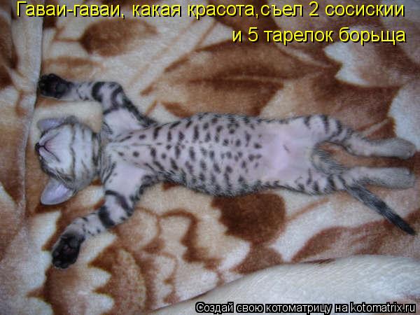 Гаваи-гаваи, какая красота,съел 2 сосискии и 5 тарелок борьща... Котоматрица: Гаваи-гаваи, какая красота,съел 2 сосискии и 5 тарелок борьща