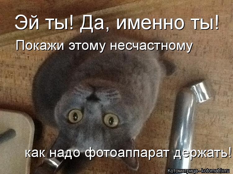 Эй ты! Да, именно ты! Покажи этому несчастному как надо фотоаппарат держать!... Котоматрица: Эй ты! Да, именно ты! Покажи этому несчастному как надо фотоаппарат держать!