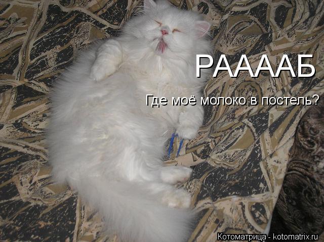 Котоматрица: РААААБ Где моё молоко в постель?