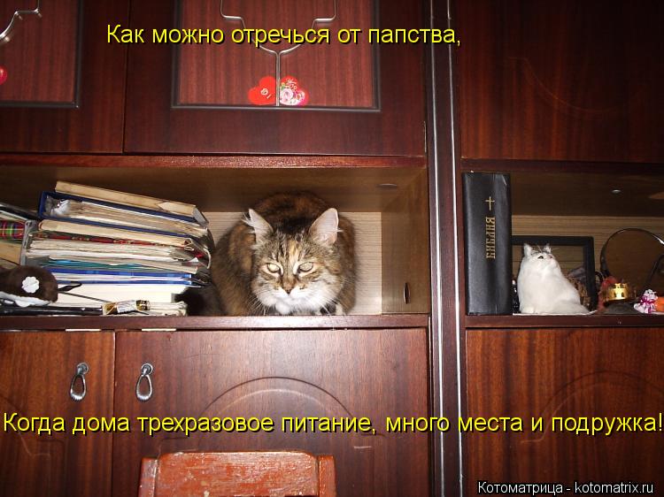 Как можно отречься от папства, Когда дома трехразовое питание, много места и подружка!... Котоматрица: Как можно отречься от папства, Когда дома трехразовое питание, много места и подружка!
