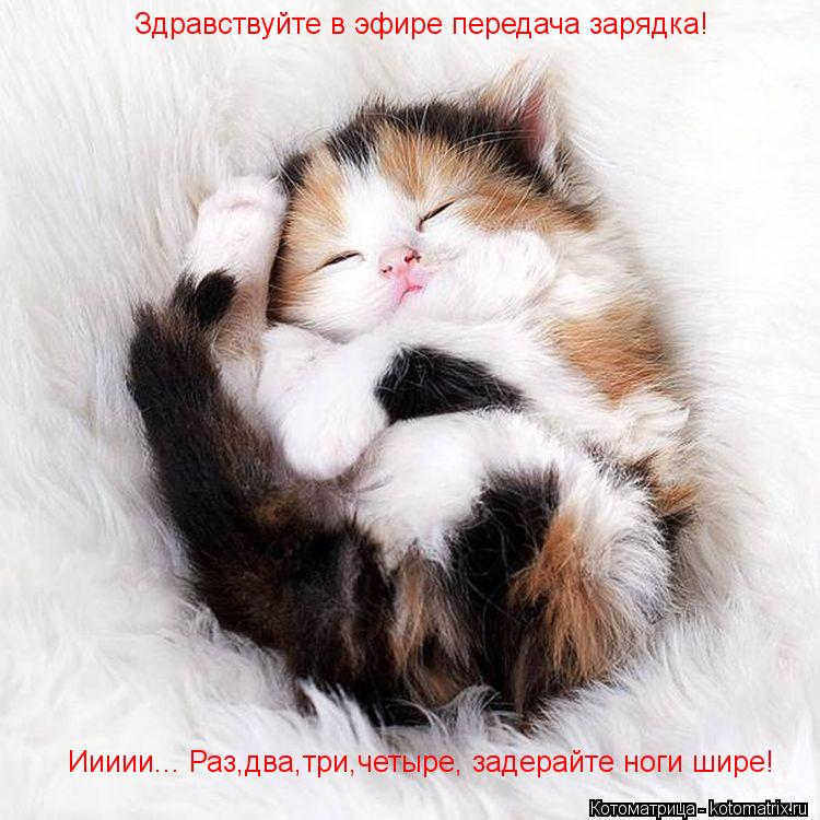 Здравствуйте в эфире передача зарядка! Иииии... Раз,два,три,четыре, задерайте ноги шире!... Котоматрица: Здравствуйте в эфире передача зарядка! Иииии... Раз,два,три,четыре, задерайте ноги шире!