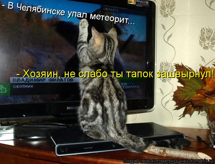 - В Челябинске упал метеорит... - Хозяин, не слабо ты тапок зашвырнул!... Котоматрица: - В Челябинске упал метеорит... - Хозяин, не слабо ты тапок зашвырнул!