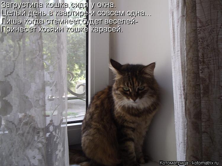 Стих сижу одна я у Стих сижу одна я у