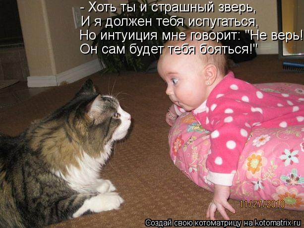 Котоматрица: И я должен тебя испугаться, - Хоть ты и страшный зверь, Он сам будет тебя бояться!" Но интуиция мне говорит: "Не верь!
