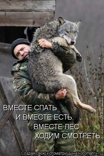 Котоматрица: ВМЕСТЕ СПАТЬ  И ВМЕСТЕ ЕСТЬ, ВМЕСТЕ ЛЕС ХОДИМ СМОТРЕТЬ