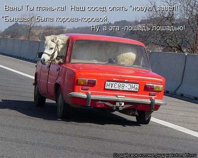 Вань! Ты глянь-ка! Наш сосед опять "новую" завел! "Бывшая" была корова-коровой, Ну, а эта -лошадь л... Котоматрица: Вань! Ты глянь-ка! Наш сосед опять "новую" завел! "Бывшая" была корова-коровой, Ну, а эта -лошадь лошадью!