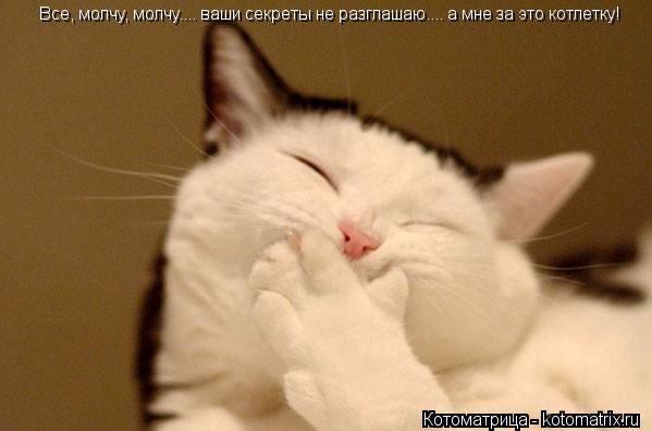 Котоматрица: Все, молчу, молчу.... ваши секреты не разглашаю.... а мне за это котлетку!