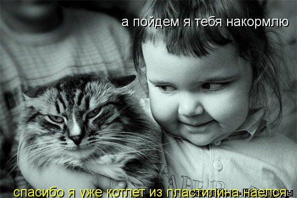 а пойдем я тебя накормлю спасибо я уже котлет из пластилина наелся... Котоматрица: а пойдем я тебя накормлю спасибо я уже котлет из пластилина наелся