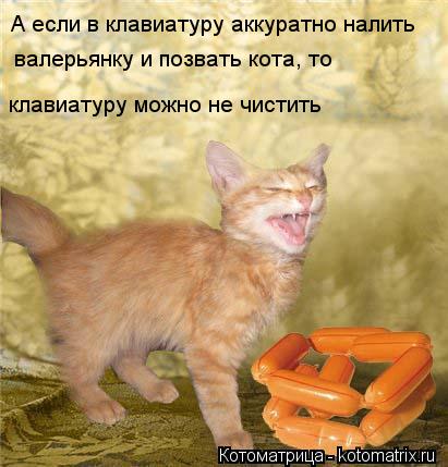 А если в клавиатуру аккуратно налить валерьянку и позвать кота, то клавиатуру можно не чистить... Котоматрица: А если в клавиатуру аккуратно налить валерьянку и позвать кота, то клавиатуру можно не чистить
