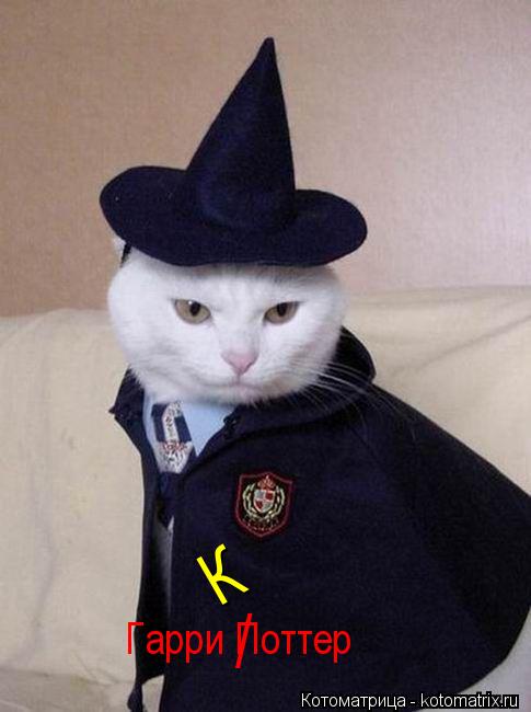 Гарри Поттер / К... Котоматрица: Гарри Поттер / К