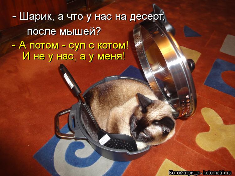 Котоматрица: - Шарик, а что у нас на десерт, после мышей? - А потом - суп с котом! И не у нас, а у меня!