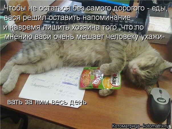 Чтобы не остаться без самого дорогого - еды, вася решил оставить напоминание и навремя лишить хозяин... Котоматрица: Чтобы не остаться без самого дорогого - еды, вася решил оставить напоминание и навремя лишить хозяина того ,что по мнению васи очень мешает