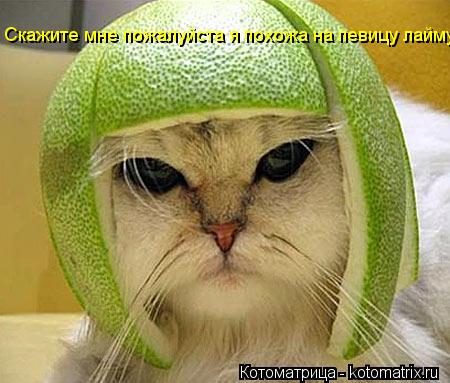 Котоматрица: Скажите мне пожалуйста я похожа на певицу лайму!
