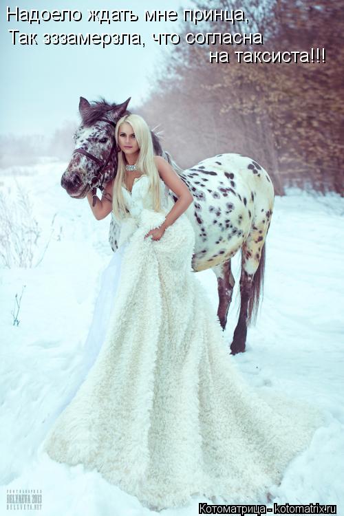 Котоматрица: Надоело ждать мне принца, Так зззамерзла, что согласна   на таксиста!!!