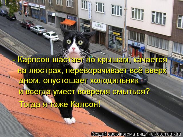 Котоматрица: - Карлсон шастает по крышам, качается дном, опустошает холодильник и всегда умеет вовремя смыться? Тогда я тоже Калсон! на люстрах, перевора
