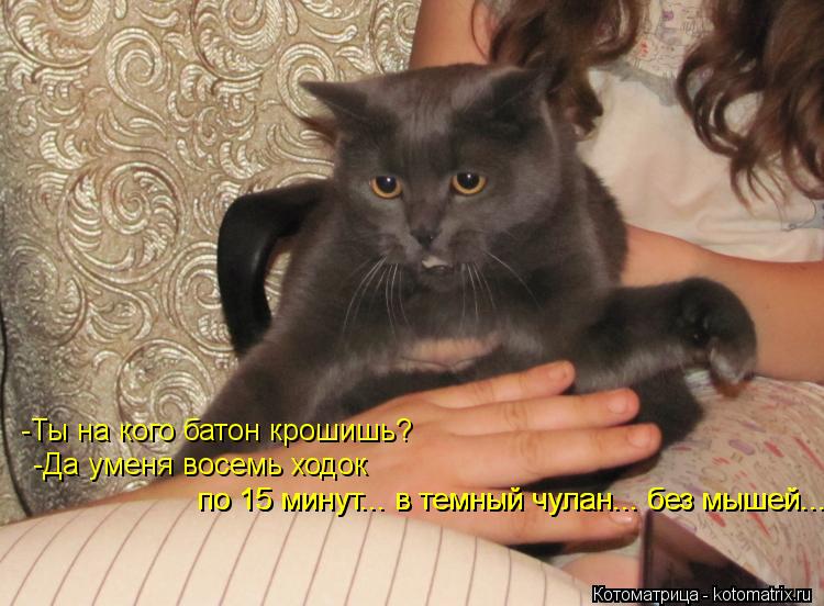 Котоматрица: -Ты на кого батон крошишь? -Да уменя восемь ходок по 15 минут... в темный чулан... без мышей.... по 15 минут... в темный чулан... без мышей....