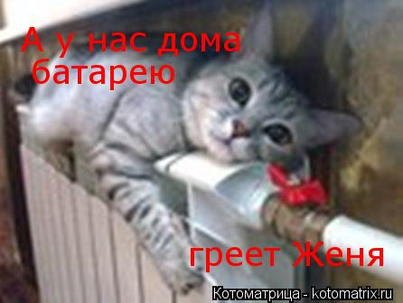 Котоматрица: А у нас дома батарею греет Женя