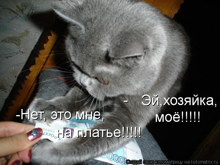 Котоматрица: - моё!!!!! Эй,хозяйка,  -Нет, это мне, на платье!!!!!