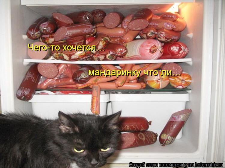 Котоматрица: Чего-то хочется… мандаринку что ли…