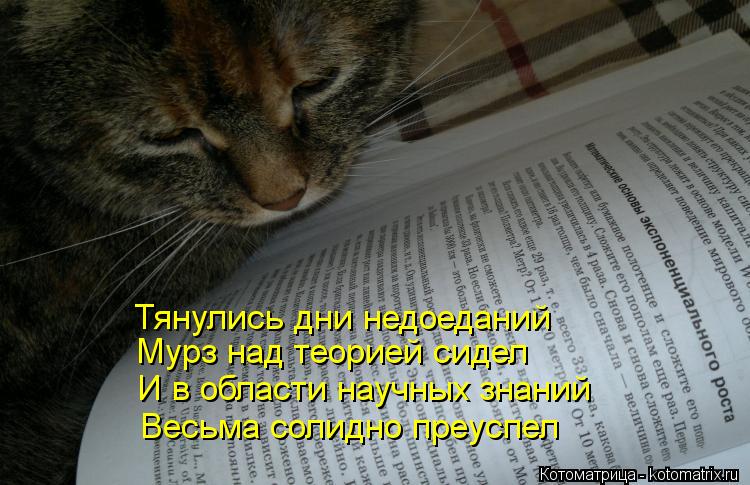 Котоматрица: Тянулись дни недоеданий Мурз над теорией сидел И в области научных знаний Весьма солидно преуспел