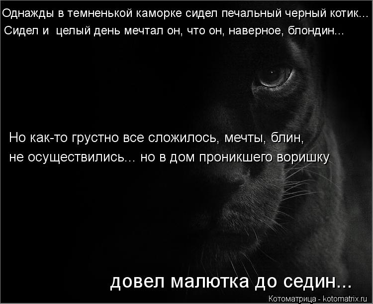 Однажды в темненькой каморке сидел печальный черный котик... Но как-то грустно все сложилось, мечты, ... Котоматрица: Однажды в темненькой каморке сидел печальный черный котик... Но как-то грустно все сложилось, мечты, блин, не осуществились... но в дом проник
