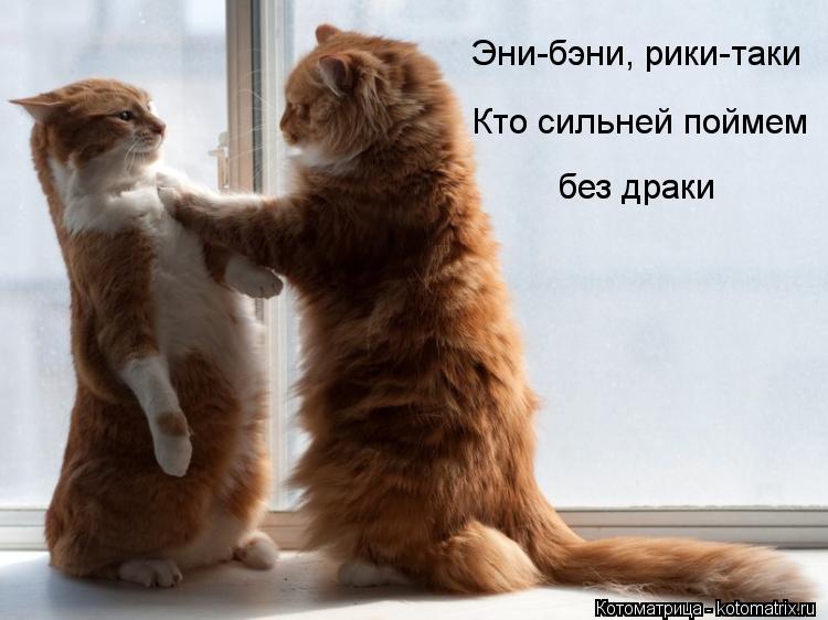 Эни-бэни, рики-таки Кто сильней поймем без драки... Котоматрица: Эни-бэни, рики-таки Кто сильней поймем без драки