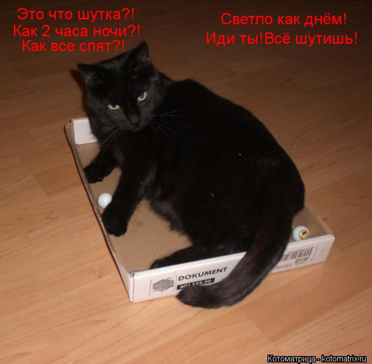Котоматрица: Это что шутка?! Как 2 часа ночи?! Как все спят?! Светло как днём! Иди ты!Всё шутишь!