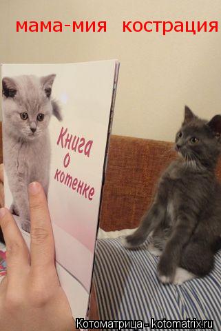 Котоматрица: мама-мия  кострация