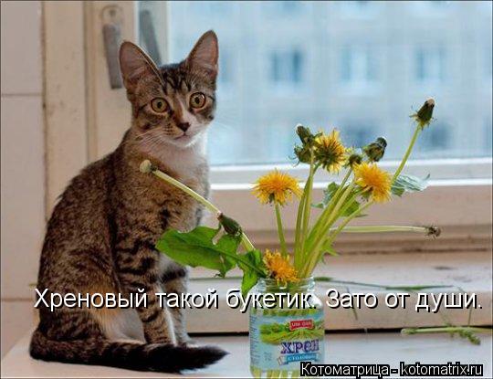 Котоматрица: Хреновый такой букетик. Зато от души.