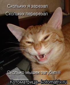 Котоматрица: Скольких я зарезал Скольких перерезал Сколько мышек загубил!!!