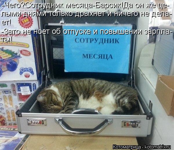 Котоматрица: -Чего?Сотрудник месяца-Барсик!Да он же це- лыми днями только дрыхнет и ничего не дела- ет! -Зато не ноет об отпуске и повышении зарпла- ты!
