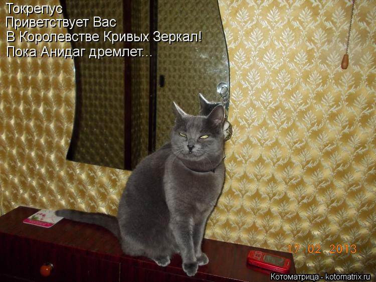 Котоматрица: Токрепус Приветствует Вас В Королевстве Кривых Зеркал! Пока Анидаг дремлет...