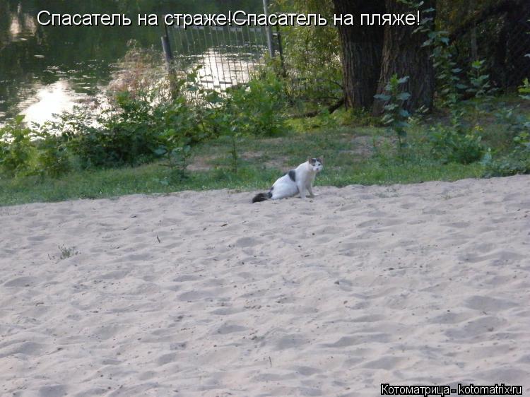 Котоматрица: Спасатель на страже!Спасатель на пляже!