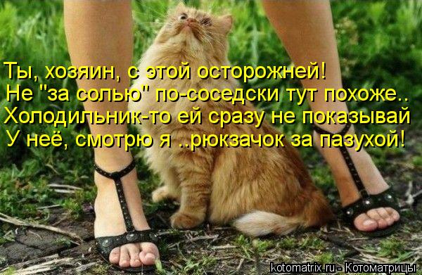 Котоматрица: Ты, хозяин, с этой осторожней! Не "за солью" по-соседски тут похоже.. Холодильник-то ей сразу не показывай У неё, смотрю я ..рюкзачок за пазухой!